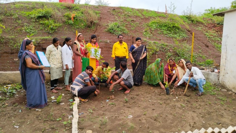 दुर्ग  : ग्राम अंजोरा ढा में बड़े पैमाने किया गया वृक्षारोपण