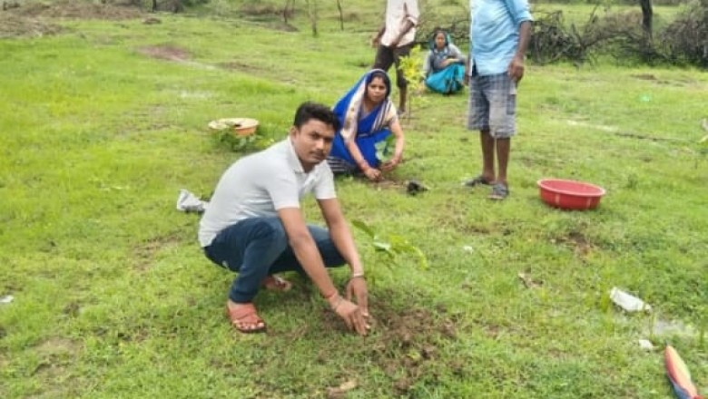 दुर्ग : ग्राम पंचायत कोडिया  में वृक्षारोपण का कार्य संपन्न
