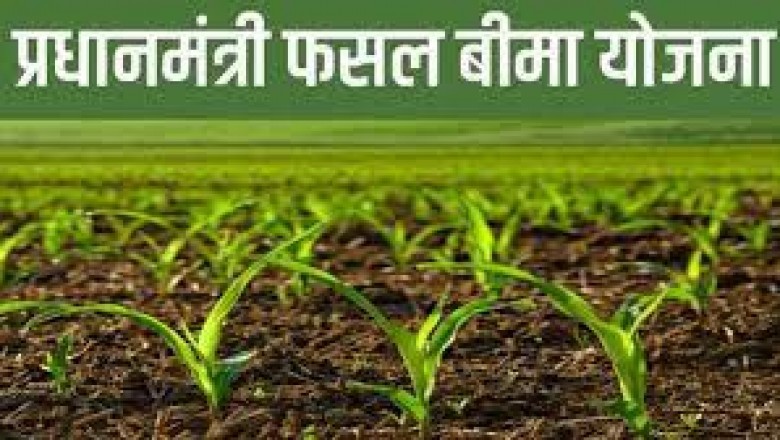 खरीफ फसल बीमा की अंतिम तिथि 15 जुलाई