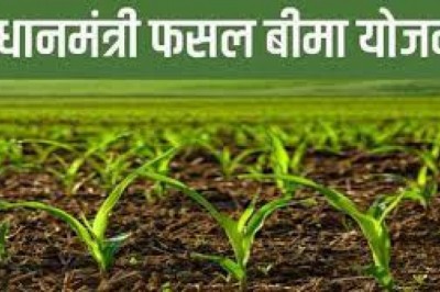 खरीफ फसल बीमा की अंतिम तिथि 15 जुलाई