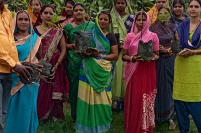 पाटन  : ग्राम पंचायत अरसनारा में वृक्षारोपण का कार्य संपन्न
