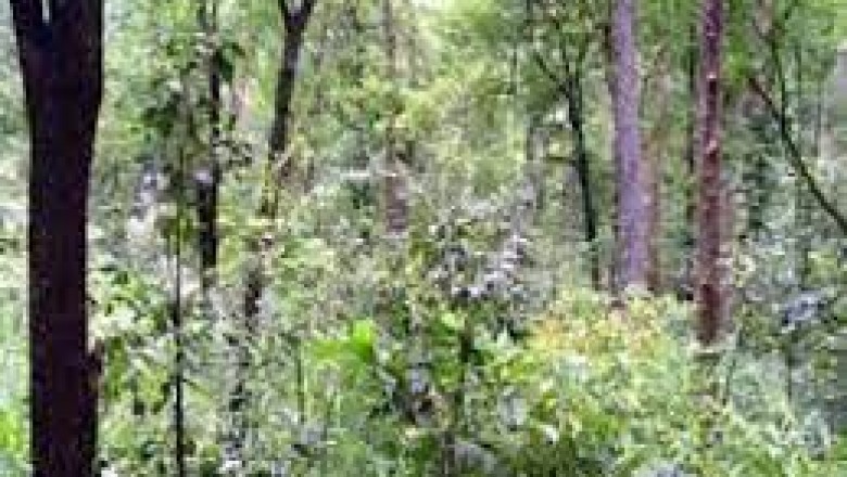 वन होम वन ट्री के तहत 6 जुलाई को रोपित किए जाएंगे पौधे, नजदीकी जोन कार्यालय से प्राप्त होंगे पौधे, निगम मुख्य कार्यालय में भी लगेगा पौधा वितरण के लिए स्टॉल