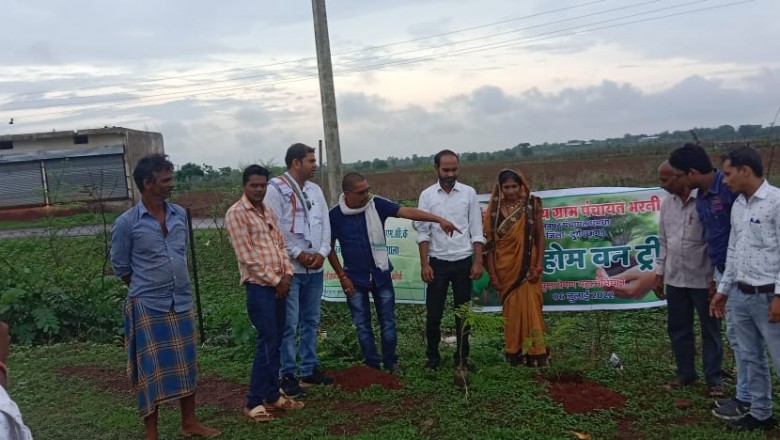 धमधा: ग्राम पंचायत भरनी में वृक्षारोपण का कार्यक्रम संपन्न