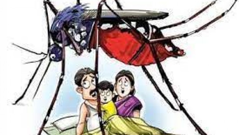 सामूहिक जागरूकता ही बचाएगी डेंगू के डंक से  शहर के समस्त 48 वार्डो में लार्वा नष्ट करने को चलाया जा रहा अभियान  डेंगू रेस्पॉन्स टीम लोगों को कर रही जागरूक