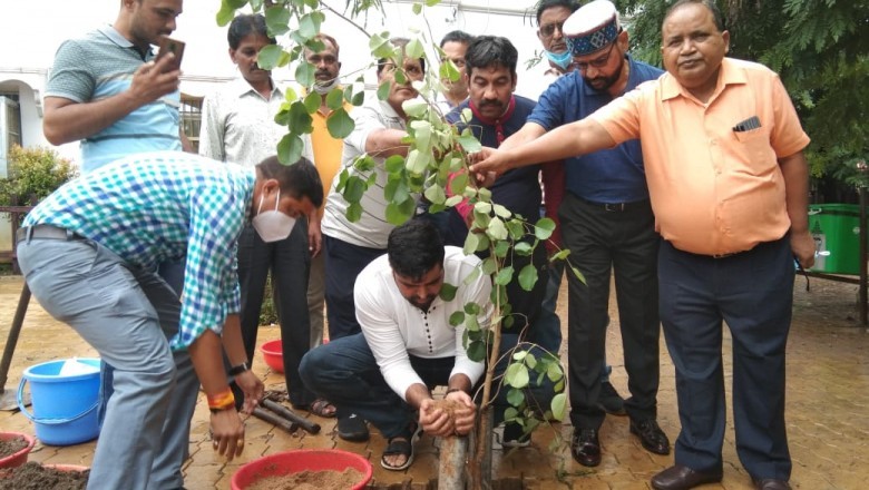 पौध रोपण के तहत निगम परिसर में आज हुआ वृृक्षारोपण