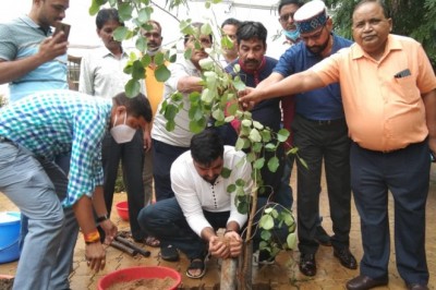 पौध रोपण के तहत निगम परिसर में आज हुआ वृृक्षारोपण