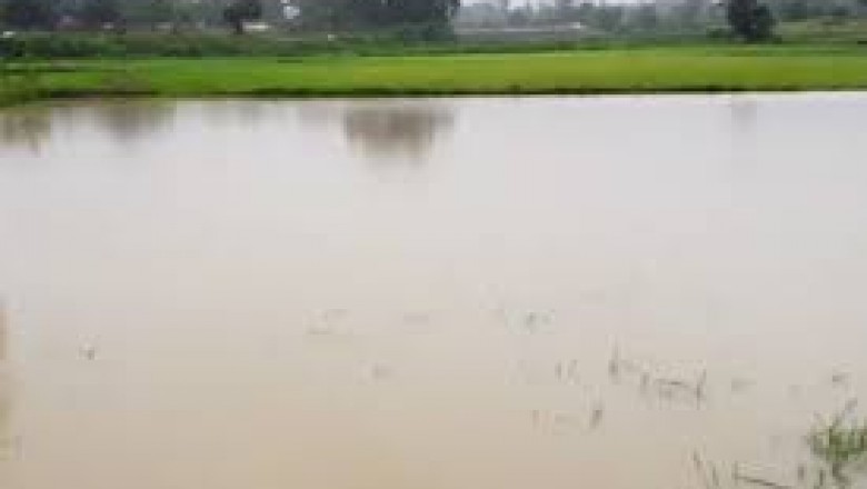 राजनादगांव :नदी नाले उफान पर कई गांवों का संपर्क टूटा, नदी किनारे के खेत डूबे
