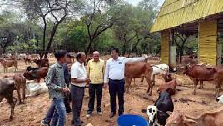 शिवनाथ नदी बाढ़ का पानी गोकुल नगर, गौठान के आस पास पहुचने लगा था,अब गौठान सुरक्षित:महापौर