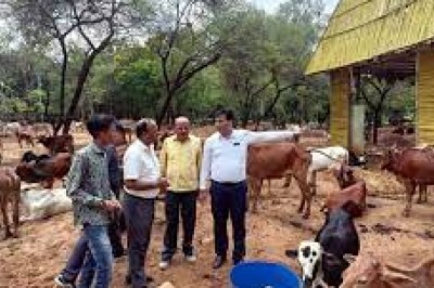 शिवनाथ नदी बाढ़ का पानी गोकुल नगर, गौठान के आस पास पहुचने लगा था,अब गौठान सुरक्षित:महापौर
