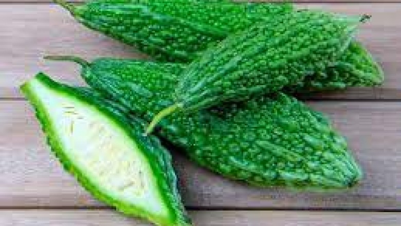 करेला खाने के बाद न खाएं दूध-दही:मूली-भिंडी साथ खाने पर पेटदर्द-एसिडिटी, प्रेग्नेंसी में खाने से मिसकैरिज का खतरा