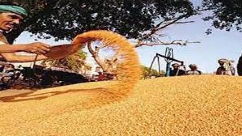धान खरीदी की तैयारी शुरू 1 नवम्बर से :