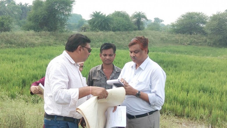 अपर कलेक्टर ने मौके में जाकर किया गिरदावरी कार्य का निरीक्षण