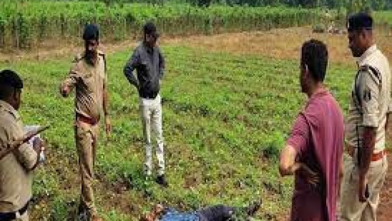 हत्याकांड कुम्हारी में बहुत ही बे रहमी से :