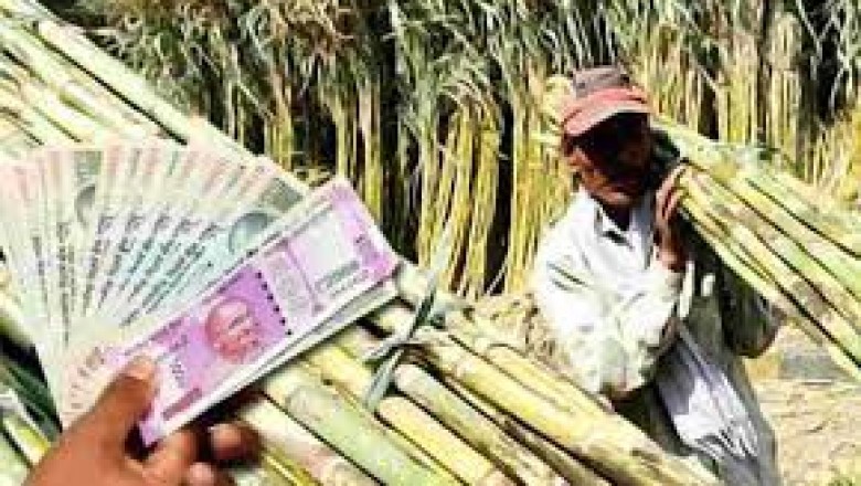 गन्ना उत्पादकों के लिए खुशखबरी : किसानों को 12 करोड़ की शेष प्रोत्साहन राशि के भुगतान का आदेश जारी