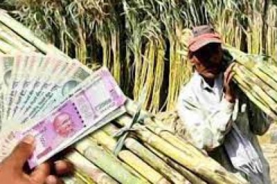गन्ना उत्पादकों के लिए खुशखबरी : किसानों को 12 करोड़ की शेष प्रोत्साहन राशि के भुगतान का आदेश जारी