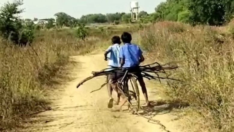 मिड डे मील का हाल! खाना खाने से पहले बच्चों को जंगल से लानी पड़ती है लकड़ी, फिर मिलता है खाना :