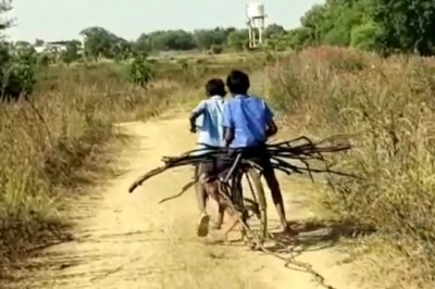 मिड डे मील का हाल! खाना खाने से पहले बच्चों को जंगल से लानी पड़ती है लकड़ी, फिर मिलता है खाना :