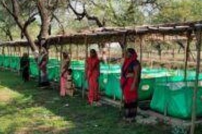 सुराजी गांव योजना के तहत निर्मित गौठानों में किसानों को पैरादान को किया जा रहा प्रोत्साहित :