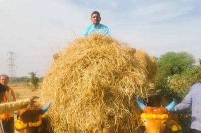जिला सहकारी केंद्रीय बैंक अध्यक्ष नवाज खान ने बैलगाड़ी चलाकर दिया पैरादान करने का संदेश....