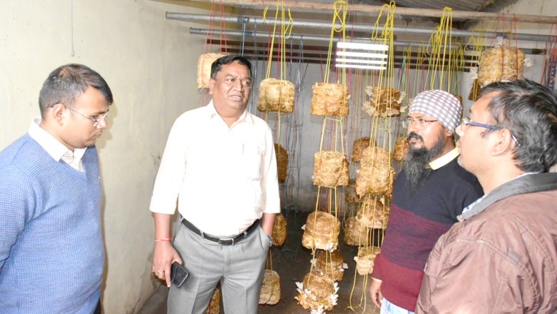 कलेक्टर ने किया पंडित शिवकुमार शास्त्री कृषि महाविद्यालय एवं अनुसंधान केंद्र सुरगी का निरीक्षण