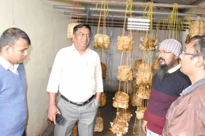 कलेक्टर ने किया पंडित शिवकुमार शास्त्री कृषि महाविद्यालय एवं अनुसंधान केंद्र सुरगी का निरीक्षण