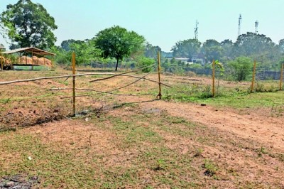 नगर में लाखों रुपए की लागत से बनाए गौठान में सुरक्षा का कोई इंतजाम नहीं किया गया है।