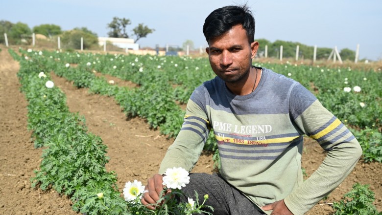 फूलों की खेती से गुलाब और पोषण की बदली दुनिया - गेंदा और डेजी की बिक्री से कमाये 2 लाख 20 हजार रूपए