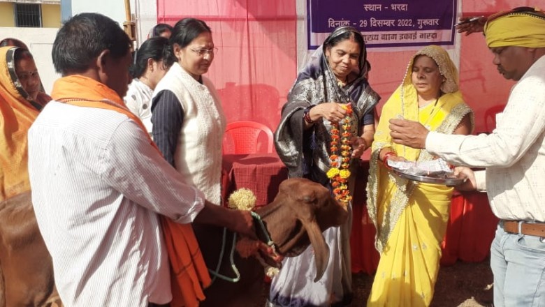 भरदा (ट)में काफ रैली एवं पशु जागरूकता शिविर संपन्न