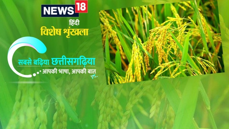 मन एक घरघुंदिया ले दुसर घरघुंदिया छेरछेराए बर जाथे- छेरिक छेरा, छेर मरकनीन छेर छेरा