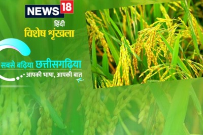 मन एक घरघुंदिया ले दुसर घरघुंदिया छेरछेराए बर जाथे- छेरिक छेरा, छेर मरकनीन छेर छेरा