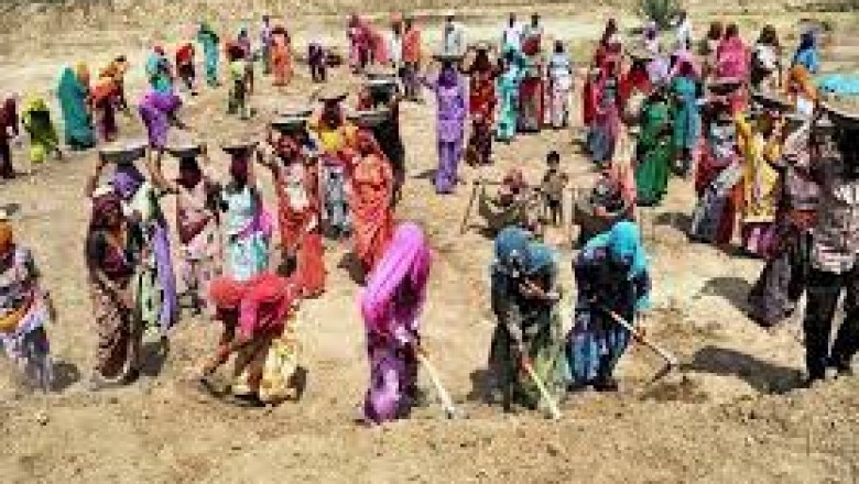 ग्राम पंचायत  दरबारटोला (छुईखदान) में मनरेगा  कार्य प्रारंभ