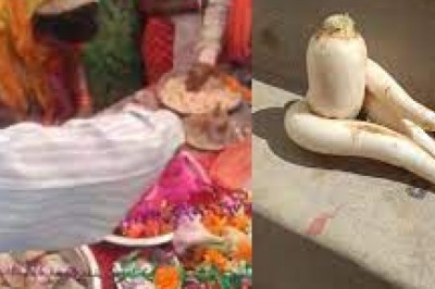 मूली में शिवलिंग की आकृति की प्रतिमा निकलने से श्रद्धालुओं की उमड़ी भीड़..