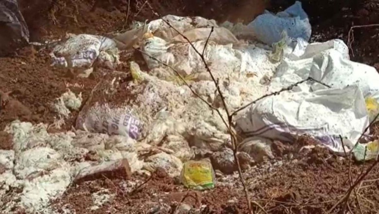 3000 मुर्गियों की मौत से हड़कंप :