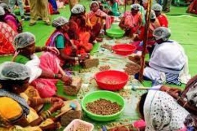 जिले के ऐसे समस्त खाद्य कारोबारकर्ता जो खाद्य निर्माण :