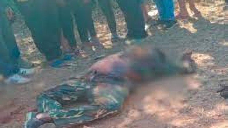 छत्तीसगढ़-महाराष्ट्र सीमा पर बोरतलाब इलाके में चेक पाइंट पर तैनात जवानों पर की फायरिंग,दो सिपाहियों की हत्या