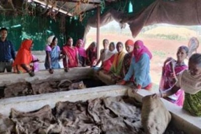 गोधन न्याय योजना से पशुपालकों को मिल रहा लाभ :
