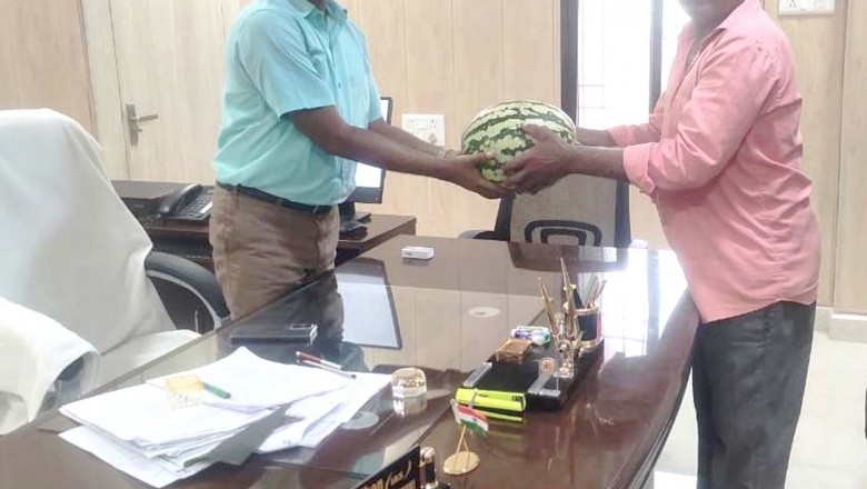 कलेक्टर को प्रगतिशील किसान  मोहनलाल निषाद ने  किया तरबूज का फल भेंट :