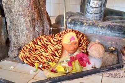 स्वयंभू बाबा पहाड़ी पाट मुंढी पेड़ भूमि से ऊपर सिर भाग दिखाई दिया धीरे धीरे अब वक्ष तक दिखाई देता है :