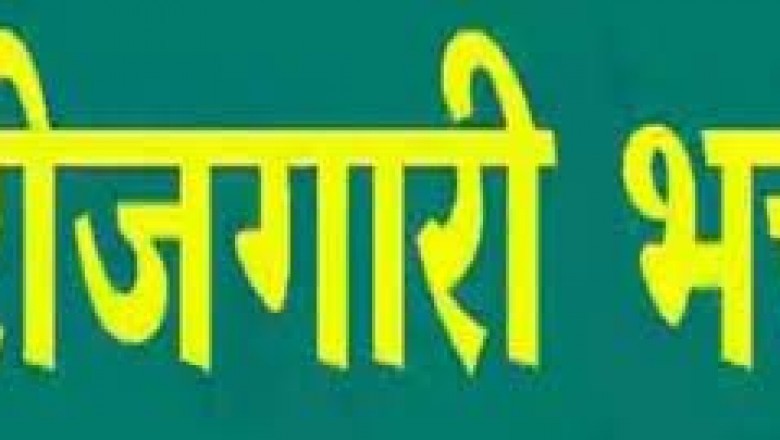 बेरोजगारी भत्ता योजना के क्रियान्वयन की दिशा में समन्वित तरीके से कार्य करें अधिकारी- कलेक्टर :