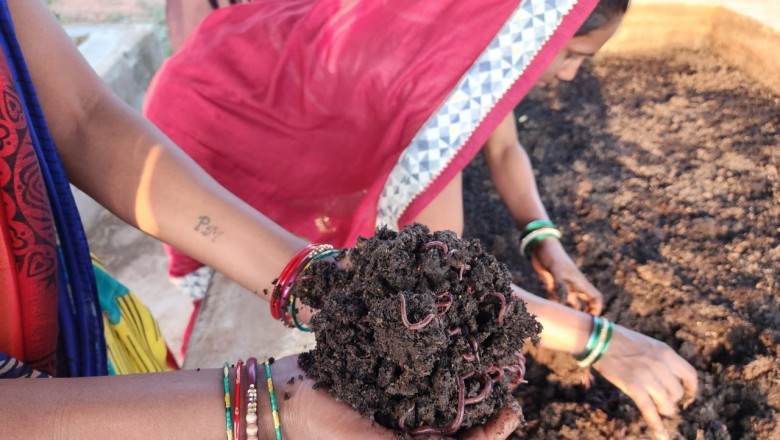 परिश्रम की चाबी खोलती है, किस्मत के दरवाजे..