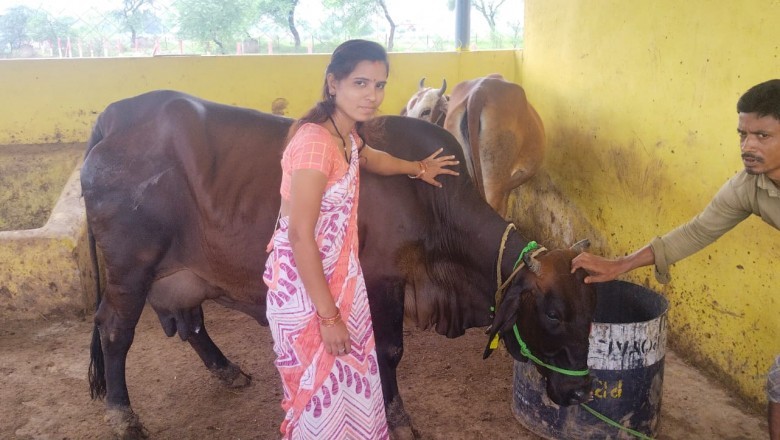चंदखुरी गौठान बना स्व सहायता समूह की महिलाओं के लिए आजीविका का जरिया :