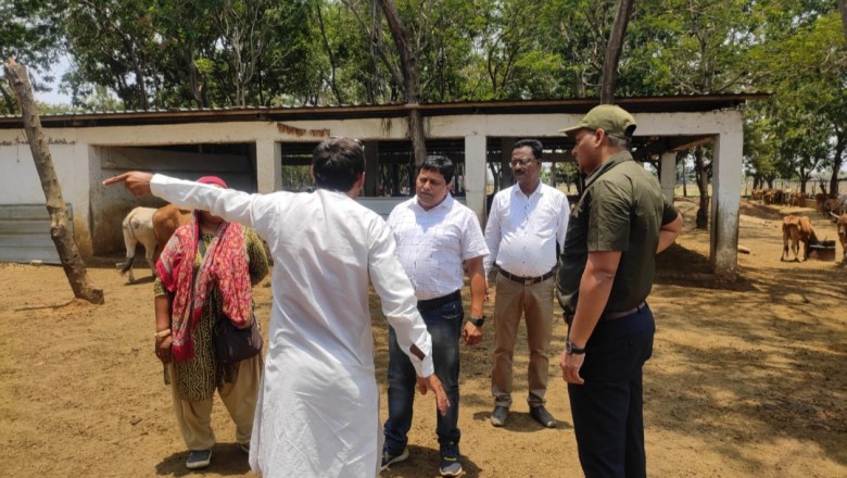 आयुक्त लोकेश चन्द्राकर ने किया गौठान का औचक निरीक्षण,वर्मी खाद निर्माण की प्रक्रिया में तेजी लाने के दिए निर्देश...
