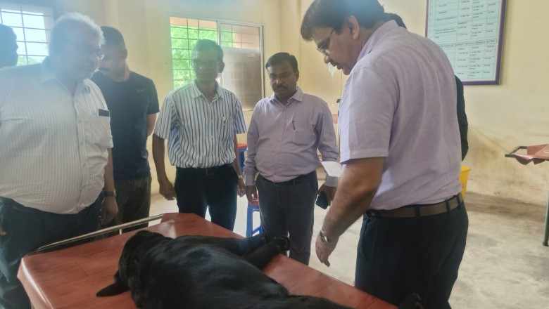 संभागायुक्त एवं कुलपति कावरे ने पशु चिकित्सालय पदमनाभपुर दुर्ग में दी दबिश, दिए कर्मचारी को निलंबित करने के निर्देश...