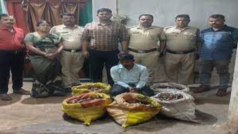 आबकारी विभाग की टीम ने घर में मारा छापा : बाड़ी में छुपाकर रखे पांच बोरी अवैध शराब के साथ आरोपी गिरफ्तार...