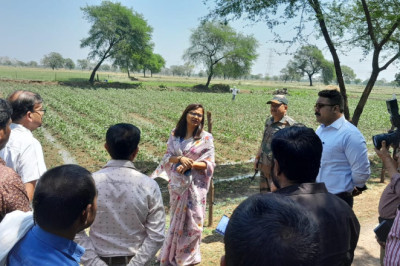 बारिश से हुई फसल नुकसान देखने कलेक्टर पहुंची खेतों में