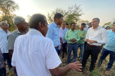ओलावृष्टि और बेमौसम बारिश से हुए फसल नुकसान का आंकलन करने कलेक्टर पहुँचें खेतों में