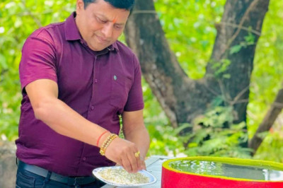 आयुक्त लोकेश चन्द्राकर ने पक्षियों के लिए निगम कार्यालय के छत पर मिट्टी के सकोरों में पक्षियों के लिए रखें दाना-पानी: