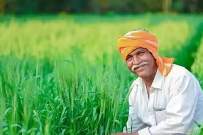 CM मोहन यादव ने किया बड़ा ऐलान, कहा- बिना चमक वाला गेहूं भी खरीदेंगे किसानों के लिए राहत भरी खबर