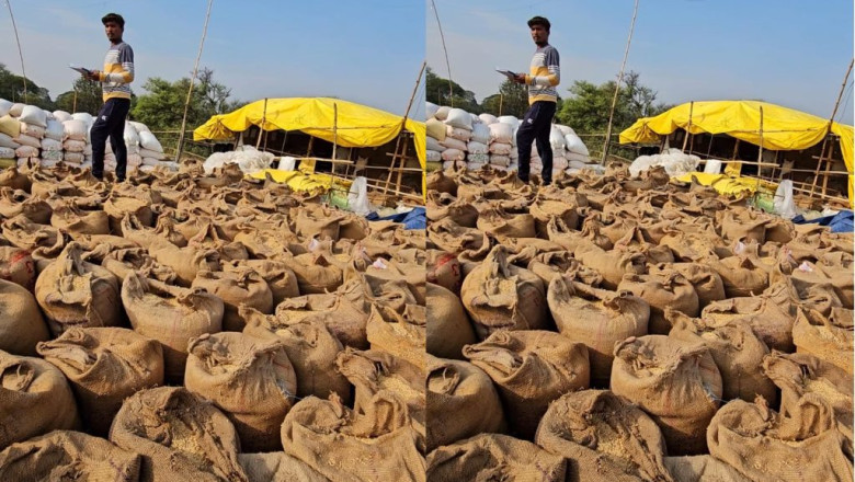 गायब हुई थी  2 करोड़ की धान की बोरियां… सहकारिता विभाग लीपापोती में जुटा!