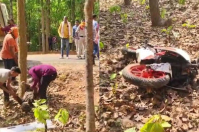 तेज रफ्तार बाइक अनियंत्रित होकर पेड़ से टकराई, दर्दनाक हादसे में दो युवकों की हुई मौत